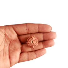 Load image into Gallery viewer, 6 Mukhi Rudraksha from Nepal - Bead No. 374
