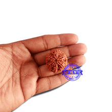 Load image into Gallery viewer, 6 Mukhi Rudraksha from Nepal - Bead No. 410
