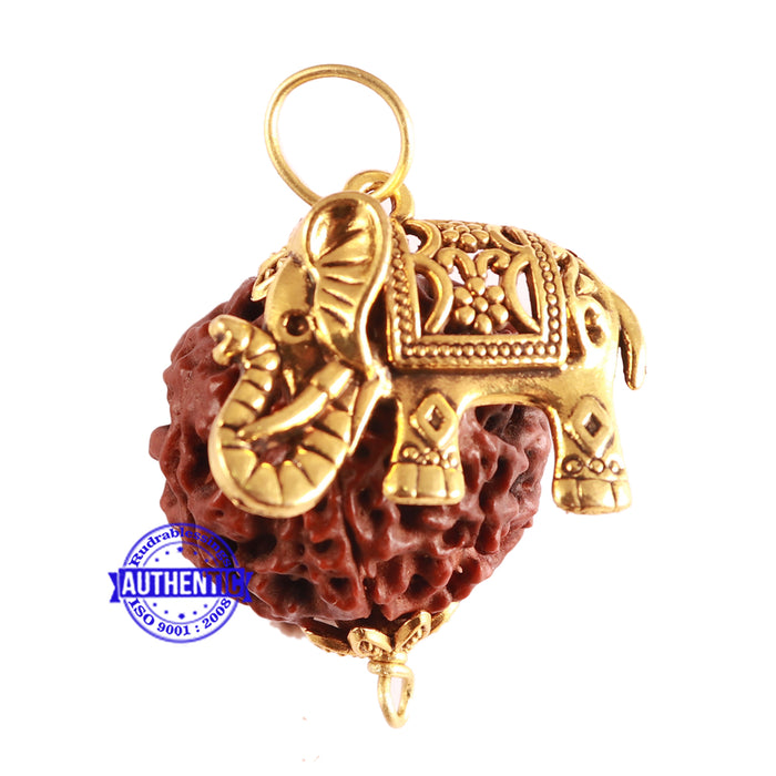 6 Mukhi Hybrid Rudraksha - Bead No. 53 (with Elephant accessory)