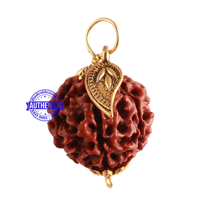 6 Mukhi Hybrid Rudraksha - Bead No. 54 (with Belpatra accessory)