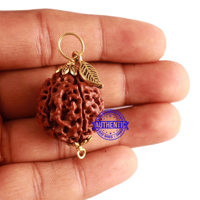 6 Mukhi Hybrid Rudraksha - Bead No. 56 (with Leaf accessory)