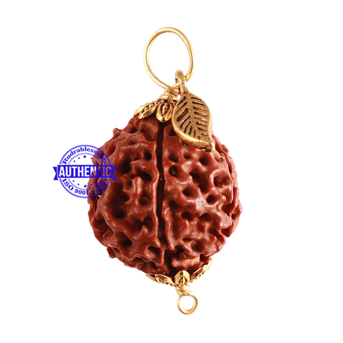 6 Mukhi Hybrid Rudraksha - Bead No. 56 (with Leaf accessory)