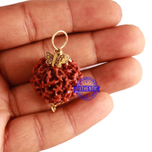 Load image into Gallery viewer, 6 Mukhi Hybrid Rudraksha - Bead No. 58 (with Butterfly accessory)

