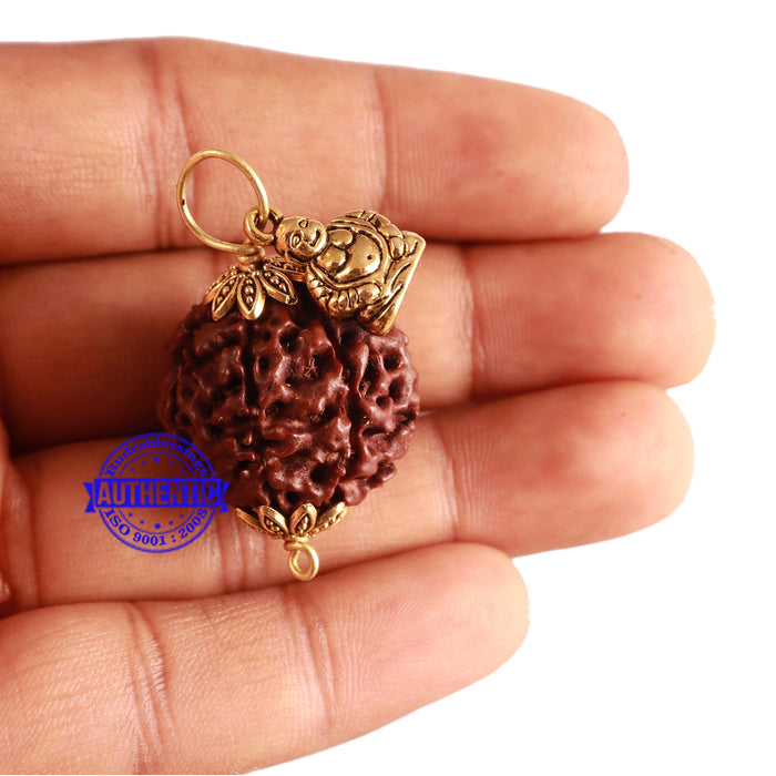 6 Mukhi Hybrid Rudraksha - Bead No. 63 (with Laughing Buddha accessory)