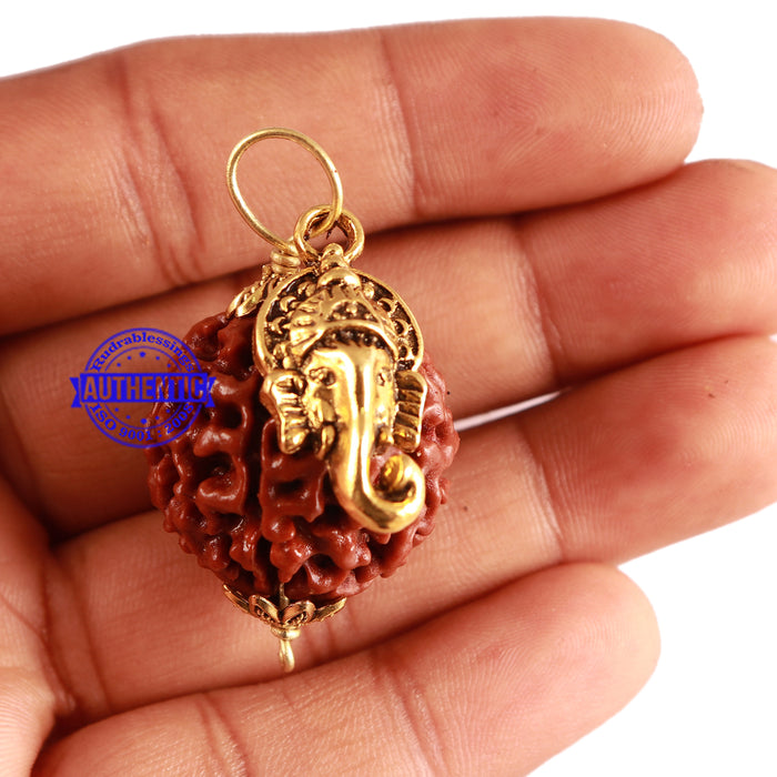 6 Mukhi Hybrid Rudraksha - Bead No. 64 (with Ganesha accessory)