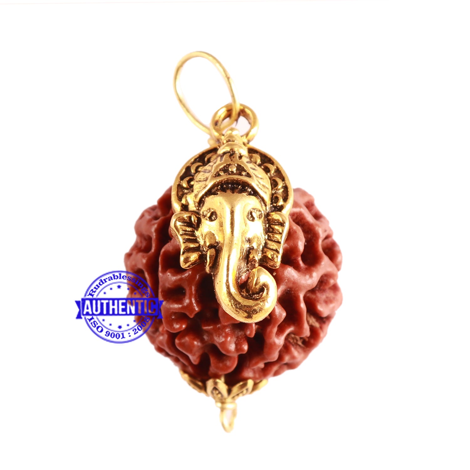 Ganesh Rudraksha Pendant Mukhi Hybrid Rudraksha Bead 64 (with