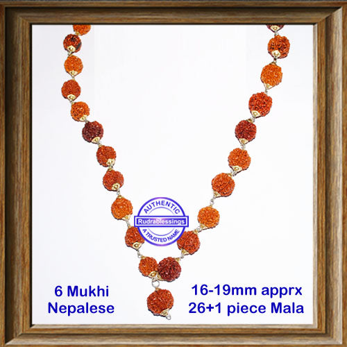 6 Mukhi Rudraksha Mala - (27 beads - Nepalese)