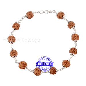 6 Mukhi Rudraksha Bracelet (Pure silver)