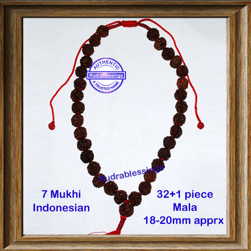 7 mukhi Rudraksha Mala - (32 +1 beads - Nepalese)