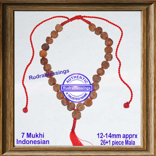 7 Mukhi Rudraksha Kantha - (26+1 - Indonesian)