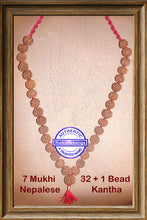 Load image into Gallery viewer, 7 mukhi Rudraksha Kantha - (32+1 beads - Nepalese)
