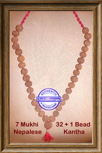7 mukhi Rudraksha Kantha - (32+1 beads - Nepalese)