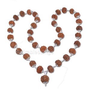 7 Mukhi Rudraksha Mala - 36+1 beads-Nepalese (Pure Silver)