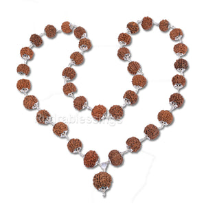 7 mukhi Rudraksha Kantha - (32+1 beads - Nepalese)