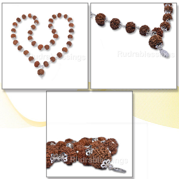 7 Mukhi Rudraksha Mala - 36+1 beads-Nepalese (Pure Silver)