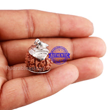 Load image into Gallery viewer, 7 Mukhi Indonesian Rudraksha Pendant in pure silver - 4
