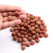 Load image into Gallery viewer, 8 Mukhi Rudraksha from Indonesia - 100 Beads Pack
