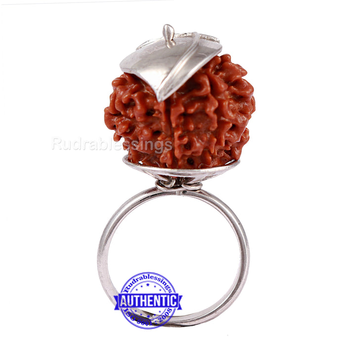 7 Mukhi Nepalese Rudraksha Ring - 15