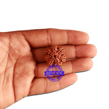 Load image into Gallery viewer, 7 Mukhi Nepalese Rudraksha - Bead No. 357
