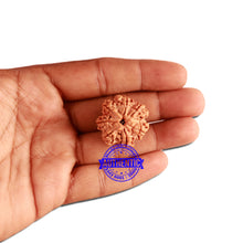 Load image into Gallery viewer, 7 Mukhi Nepalese Rudraksha - Bead No. 358
