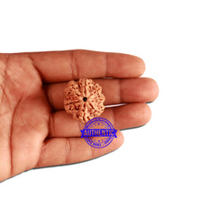 Load image into Gallery viewer, 7 Mukhi Nepalese Rudraksha - Bead No. 369
