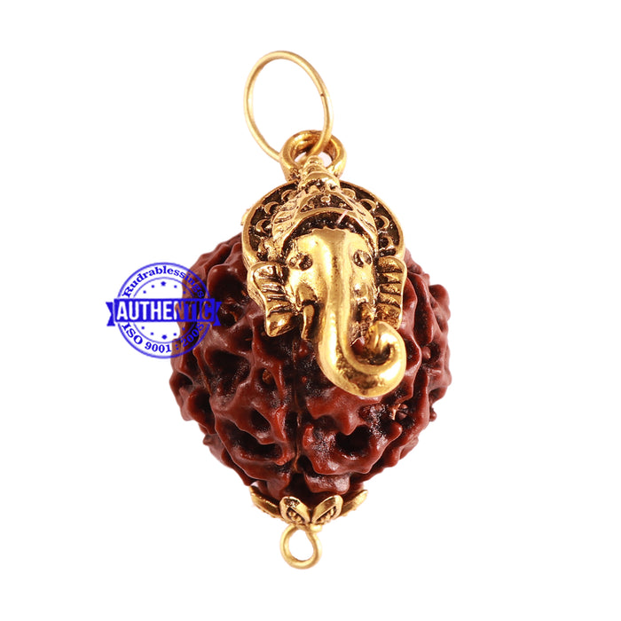 7 Mukhi Hybrid Rudraksha - Bead No. 45 (with Ganesha accessory)