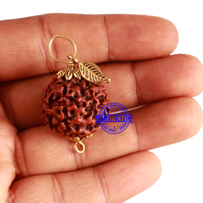 7 Mukhi Hybrid Rudraksha - Bead No. 46 (with Leaf accessory)