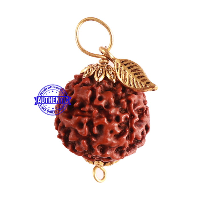 7 Mukhi Hybrid Rudraksha - Bead No. 46 (with Leaf accessory)