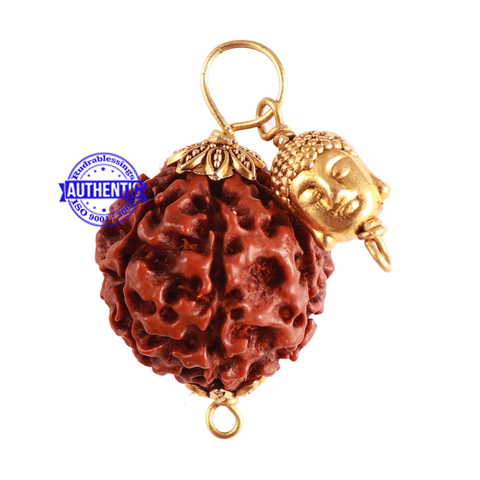 7 Mukhi Hybrid Rudraksha - Bead No. 47 (with Lord Buddha accessory)