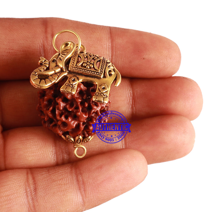 7 Mukhi Hybrid Rudraksha - Bead No. 48 (with Elephant accessory)