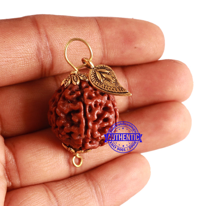 7 Mukhi Hybrid Rudraksha - Bead No. 49 (with Belpatra accessory)