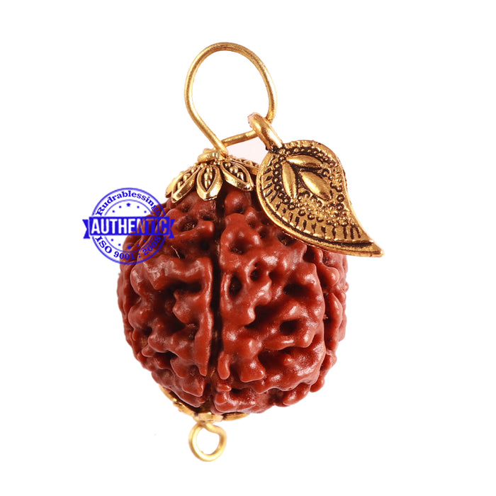 7 Mukhi Hybrid Rudraksha - Bead No. 49 (with Belpatra accessory)