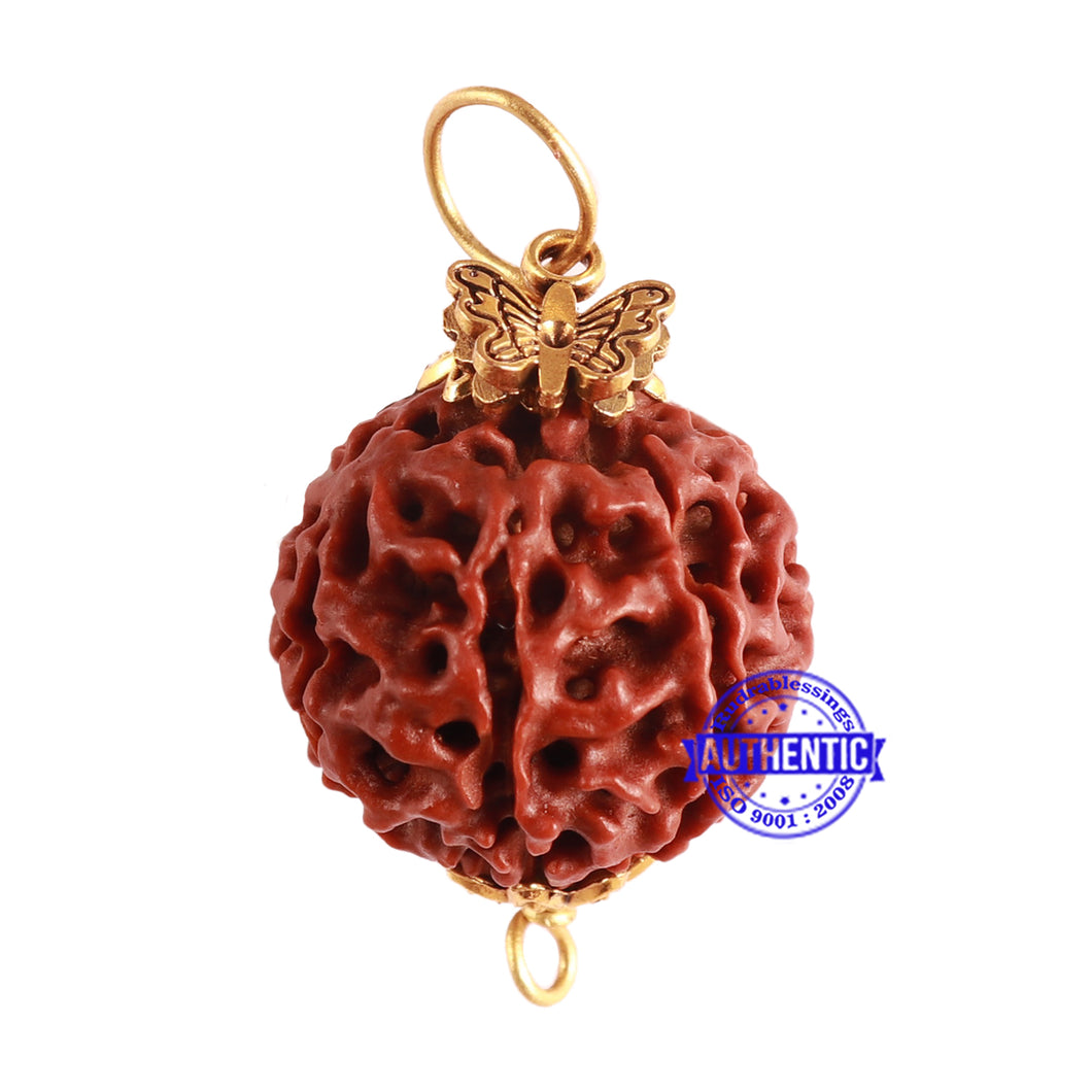 7 Mukhi Hybrid Rudraksha - Bead No. 51 (with Butterfly accessory)