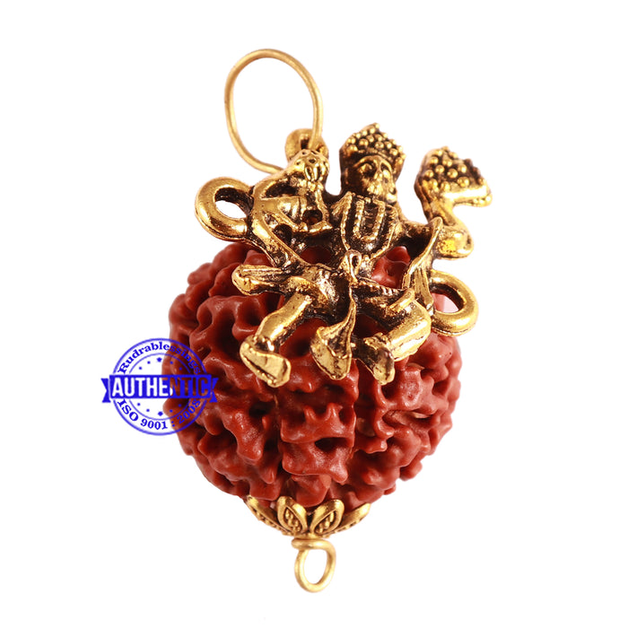 7 Mukhi Hybrid Rudraksha - Bead No. 55 (with Hanuman accessory)