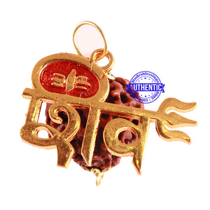 7 Mukhi Hybrid Rudraksha - Bead No. 57 (with Shiv accessory)