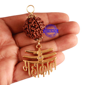 7 Mukhi Hybrid Rudraksha - Bead No. 61 (with Mahakaal accessory)