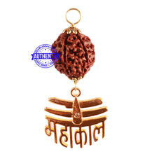 Load image into Gallery viewer, 7 Mukhi Hybrid Rudraksha - Bead No. 61 (with Mahakaal accessory)
