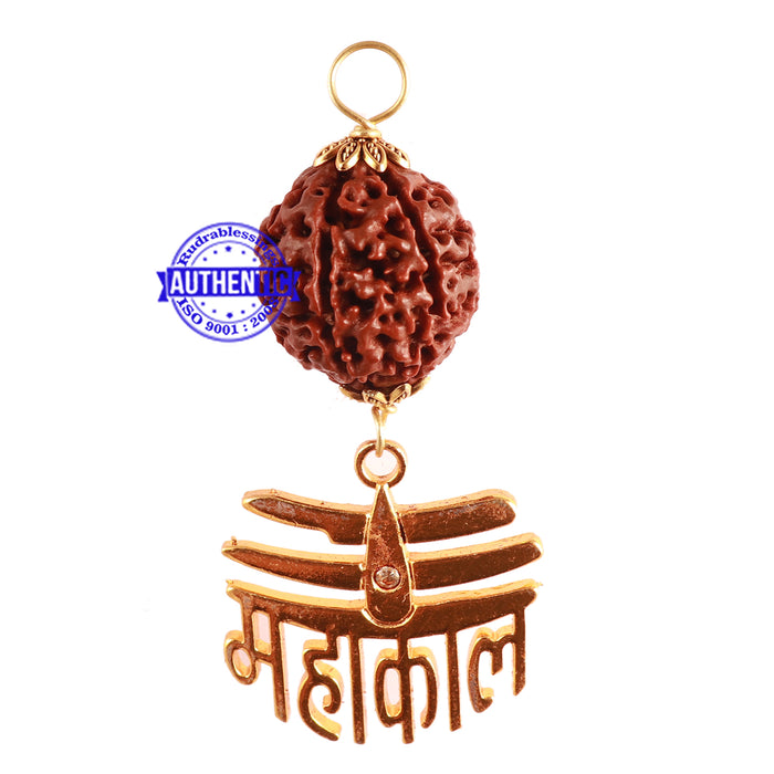 7 Mukhi Hybrid Rudraksha - Bead No. 61 (with Mahakaal accessory)