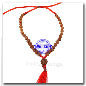 8 Mukhi Rudraksha Mala - (32+1 beads - Indonesian)