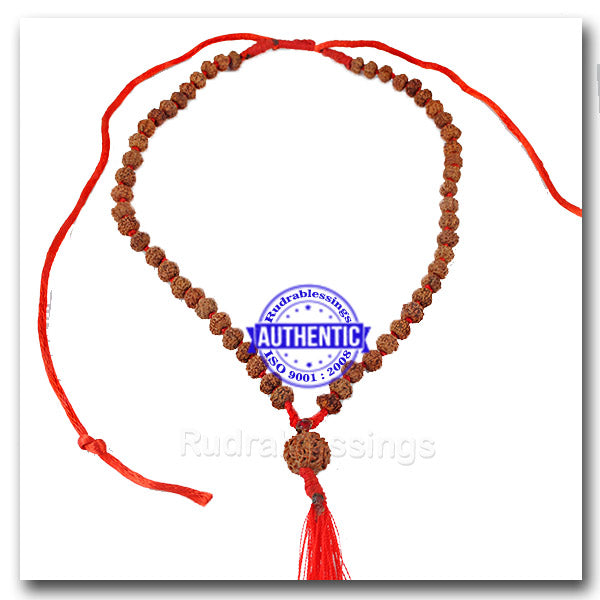 8 mukhi Rudraksha Mala - (54 +1 beads - Indonesian)