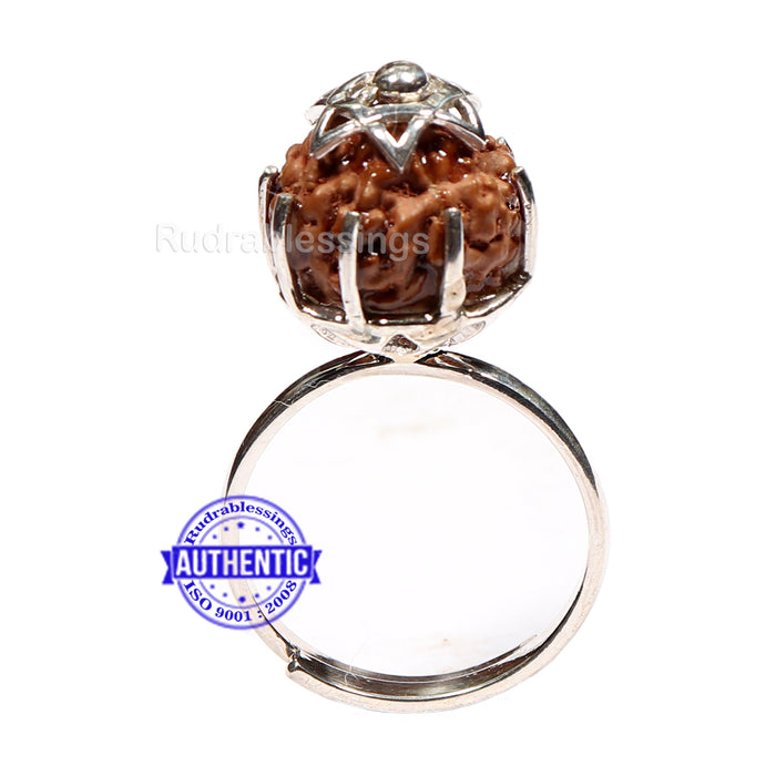 8 Mukhi Indonesian Rudraksha Ring - 2