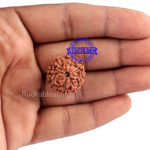 Load image into Gallery viewer, 8 Mukhi Rudraksha from Indonesia - Bead No. 155 (Gold Plated bracket)
