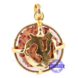 8 Mukhi Rudraksha from Indonesia - Bead No. 155 (Gold Plated bracket)