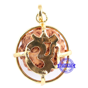 8 Mukhi Rudraksha from Indonesia - Bead No. 156 (Gold Plated bracket)