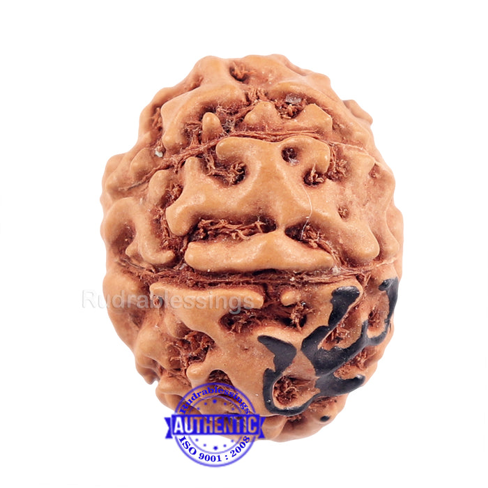 8 Mukhi Indonesian Rudraksha with Om Marking