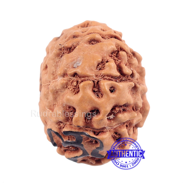8 Mukhi Indonesian Rudraksha with Om Marking
