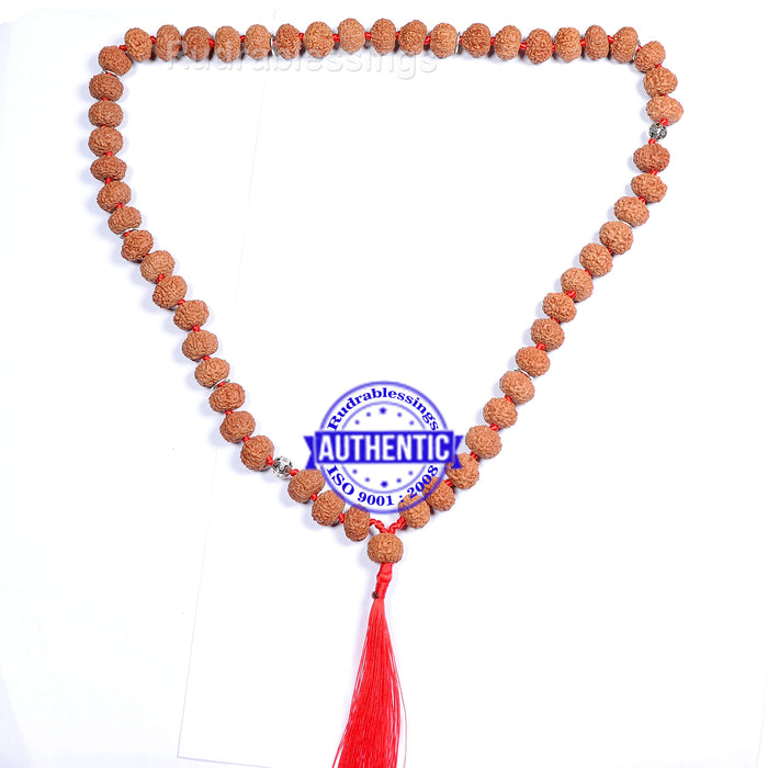 8 Mukhi Asthavinayaka Rudraksha Mala - (54+1 beads - Indonesian) with Accessory