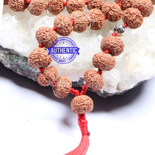 Load image into Gallery viewer, 8 Mukhi Asthavinayaka Rudraksha Mala - (54+1 beads - Indonesian) with Accessory
