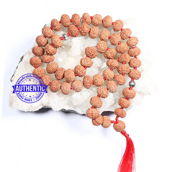 8 Mukhi Asthavinayaka Rudraksha Mala - (54+1 beads - Indonesian) with Accessory