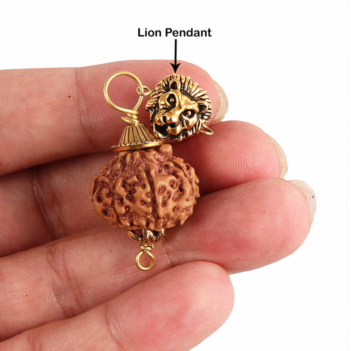 7 Mukhi Rudraksha from Indonesia - Bead No. 11 (with Lion accessory)